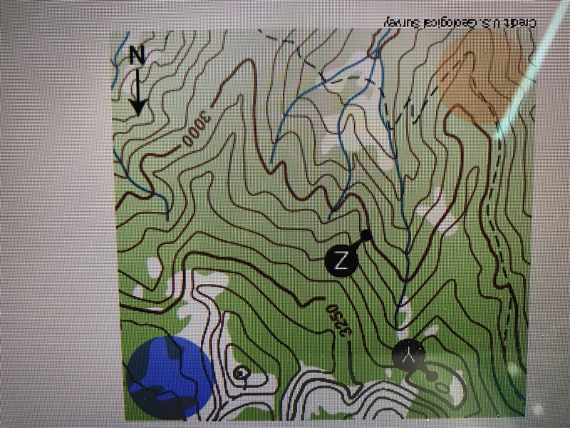 What is the elevation of point Y ? A . 3298 B. 3200 C. 3350 D. 3248-example-1