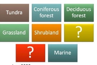 Which of the Earth’s biomes are missing from the image above? A. polar and moderate-example-1