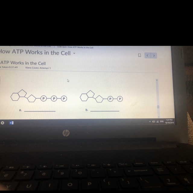 Which correctly describes molecules “a” in this diagram? A_adenosine triphosphate-example-1