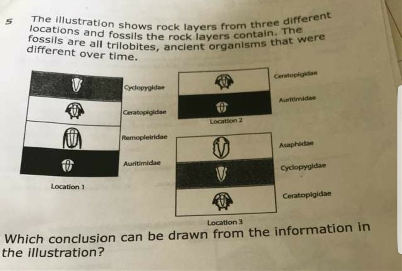 The illustration shows rock layers from three different locations and fossils the-example-1