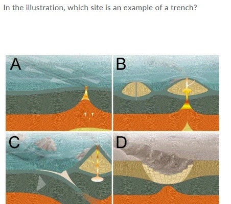 OPTIONS FOR FIRST PICTURE A) two contintental plates moving together B) two oceanic-example-2