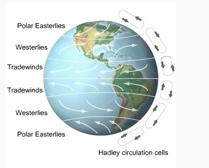 The weather patterns on Earth are shown in this image. Explain why there are bands-example-1