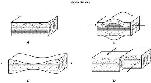 What caused the rock layers to take on the shape shown in diagram C?-example-1