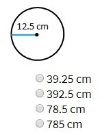 What is the circumference of the circle round your answer to the nearest tenth-example-1