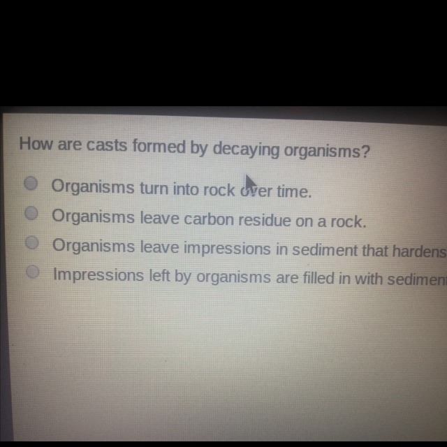 How are casts formed by decaying organisms?-example-1