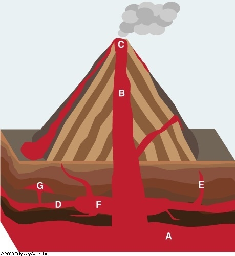 label the structure and interior features of this volcano, crater, central vent, magma-example-1