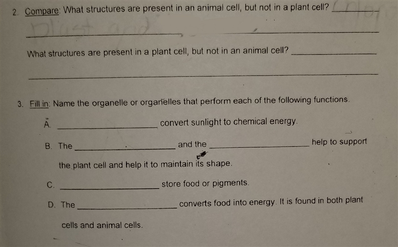 Can someone please tell me the answer?-example-1