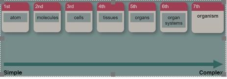 The organ is the simplest level of organization of organisms. (a) True (b) False-example-1