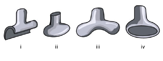 Nancy and Esteban are working on a model of an ellipsoidal joint. Which two pieces-example-1