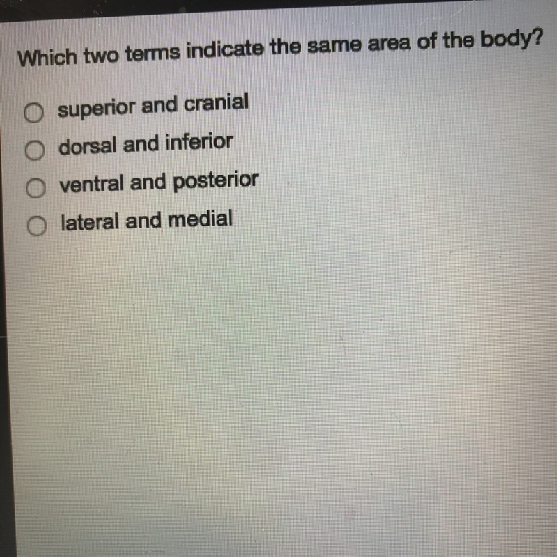 Which two terms indicate the same area of the body-example-1