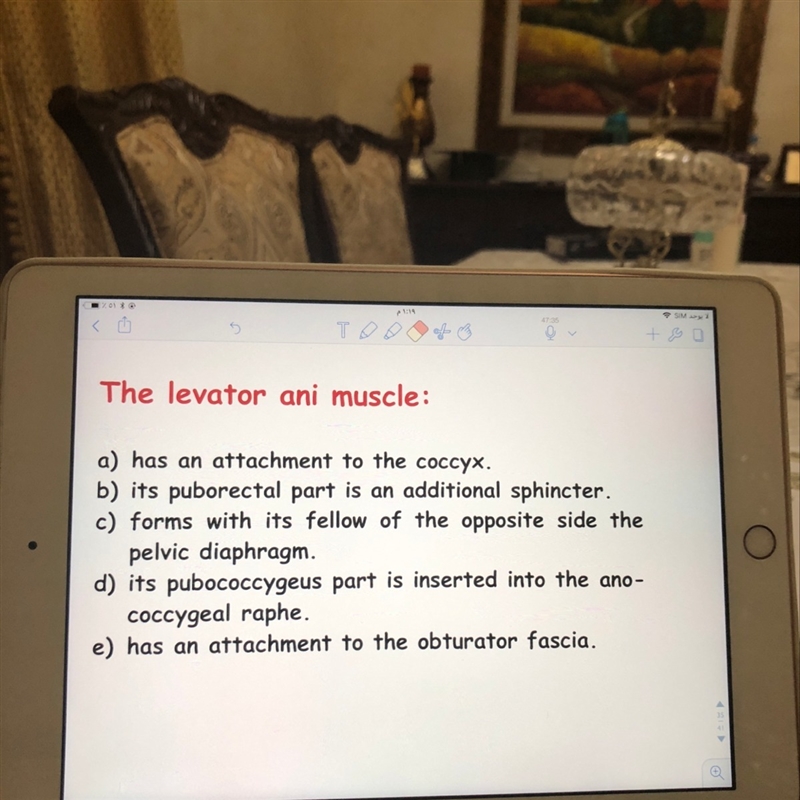 The answer of the MCQ-example-1