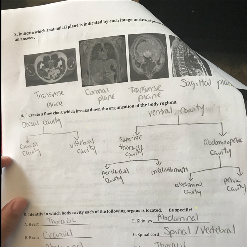 Help me organize this please, I have never been so confused in my life. Pencil and-example-1