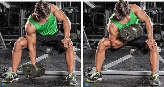 Match each exercise to its corresponding muscle. A. Leg press B. Leg raises C. Bench-example-1