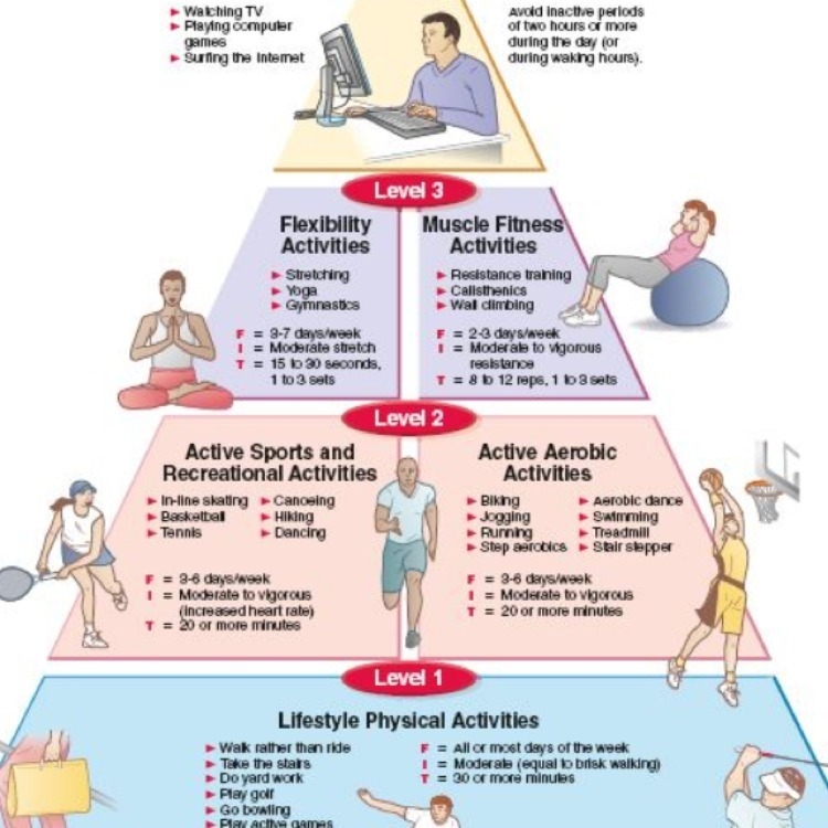 Where do secondary activities go on an activity pyrimid-example-1