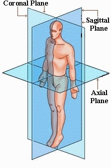 1. Given the description fill in the correct directional terms. Your feet are ___ to-example-1