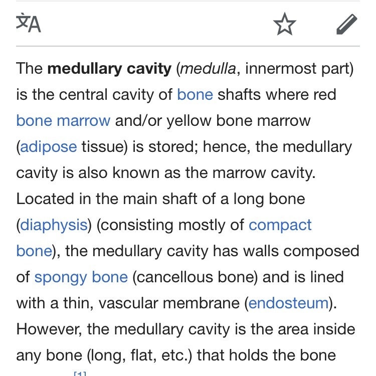 Which of the following is found in the cavities of bone?-example-1