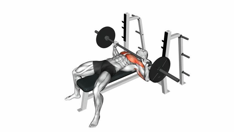 Match each exercise to its corresponding muscle. A. Leg press B. Leg raises C. Bench-example-2