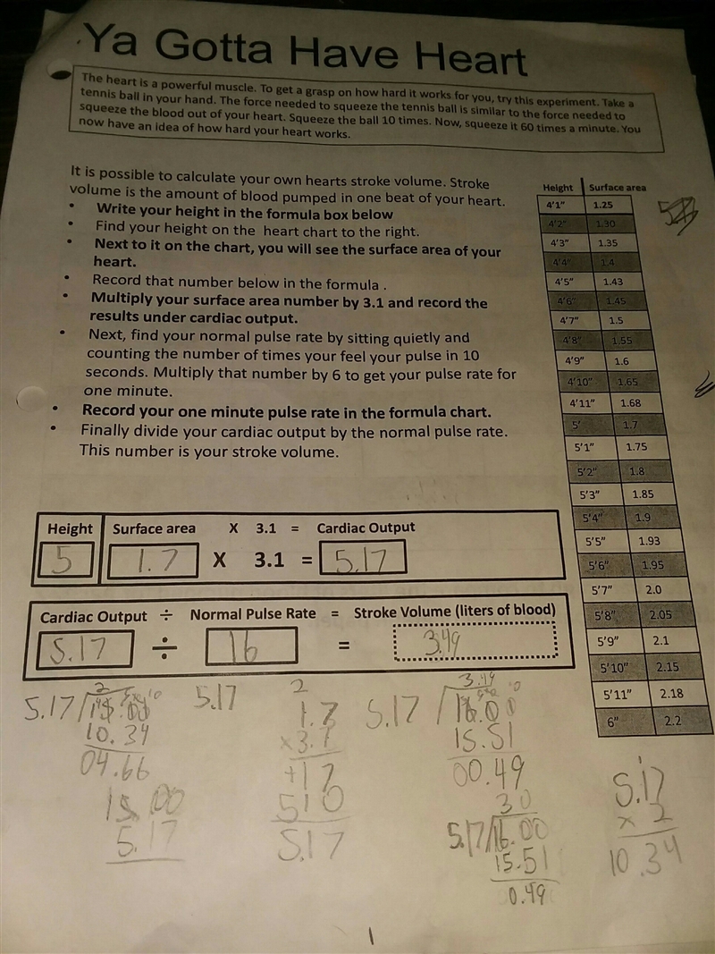 What's 5.17÷186 ? The directions for the assignment that I was forced to do is above-example-1