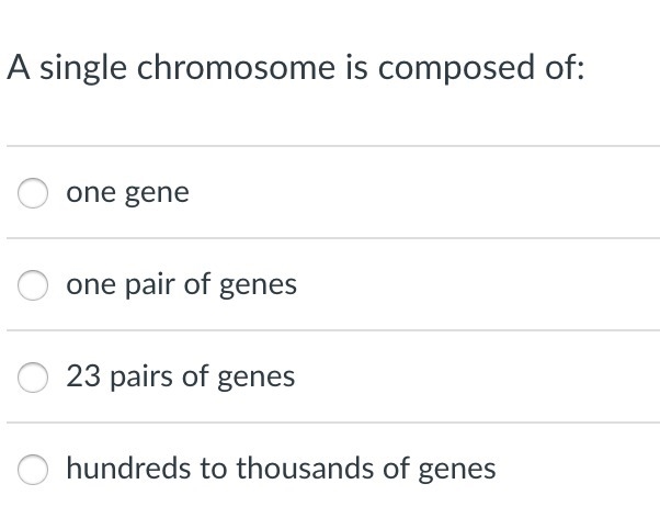 A single chromosome is composed of:-example-1