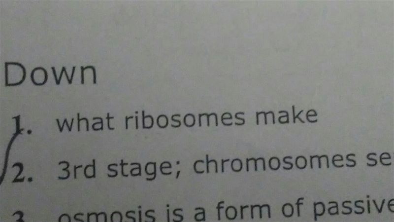 What do ribosomes make-example-1