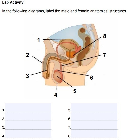 Someone figure this out for me? Thanks in advance :)-example-1