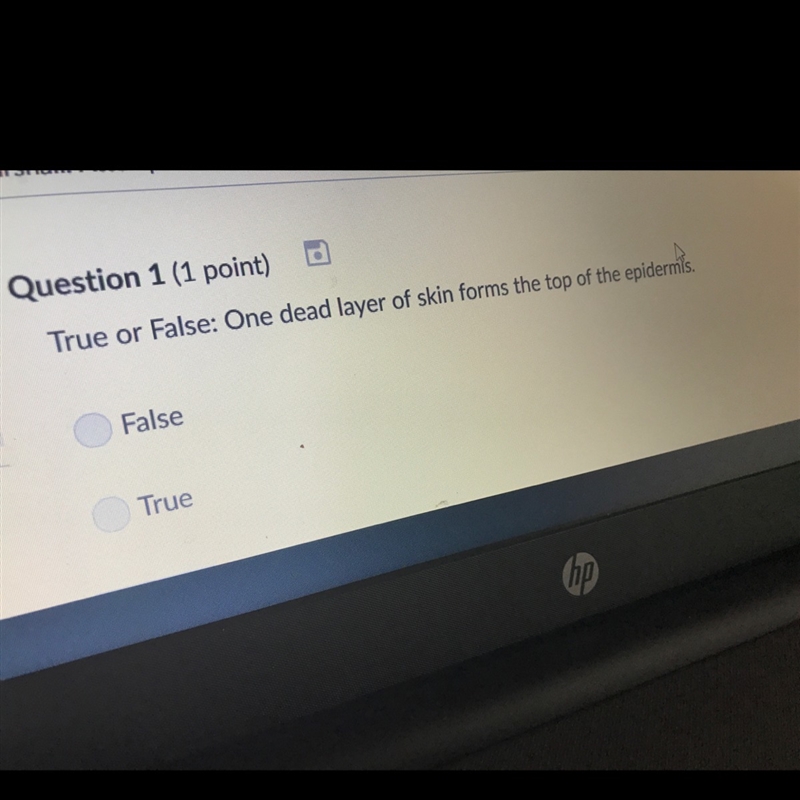 True or false: One dead layer of skin forms on the top of the epidermis.-example-1