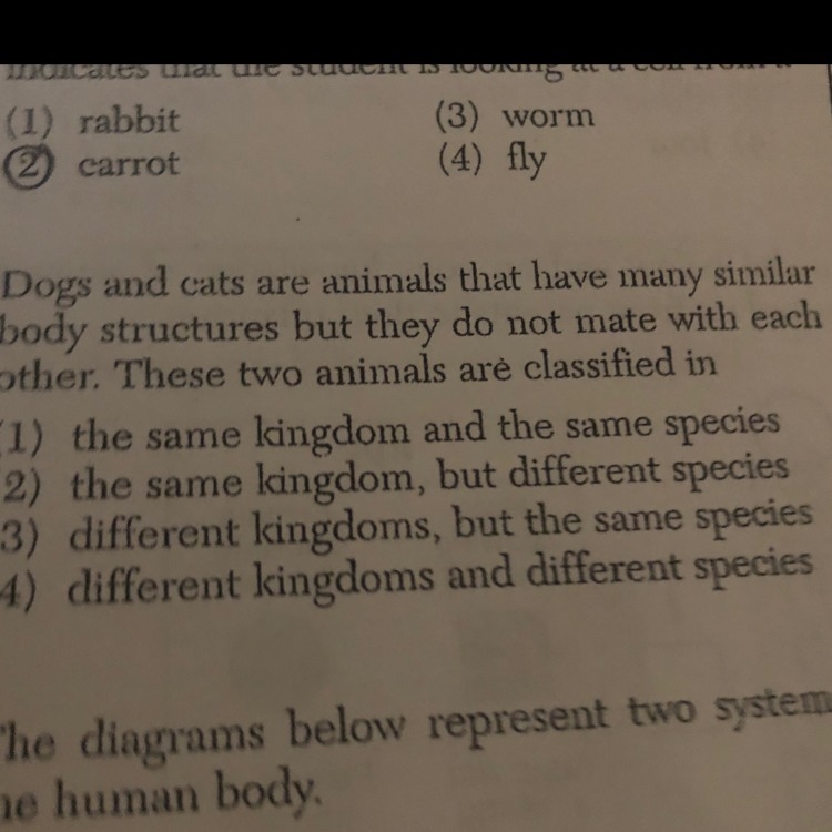 What is the answer to this question-example-1