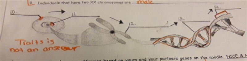 Need help with labeling-example-1