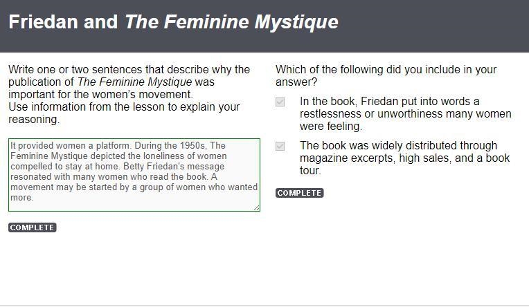 Write one or two sentences that describe why the publication of The Feminine Mystique-example-1