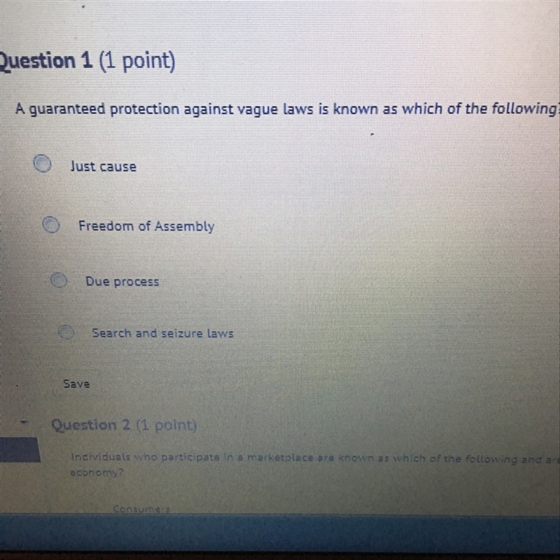 A guaranteed protection against vague laws is known as which of the following?-example-1