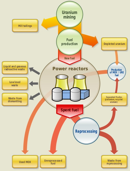 This flowchart appears at the beginning of a magazine article. Which of the following-example-1