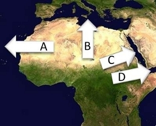 On the map above, which arrow is pointing to the Red Sea? A. arrow A B. arrow B C-example-1