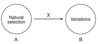 Which phrase best indicates the meaning of the arrow labeled x?-example-1