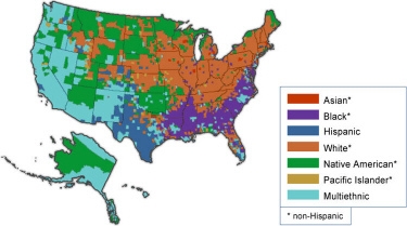 The above map shows the most common racial groups in each US county in 2000. How does-example-1