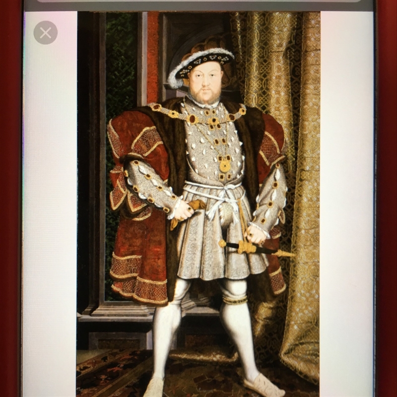 How does the Portrait of King Henry VIII shows his power and wealth?-example-1