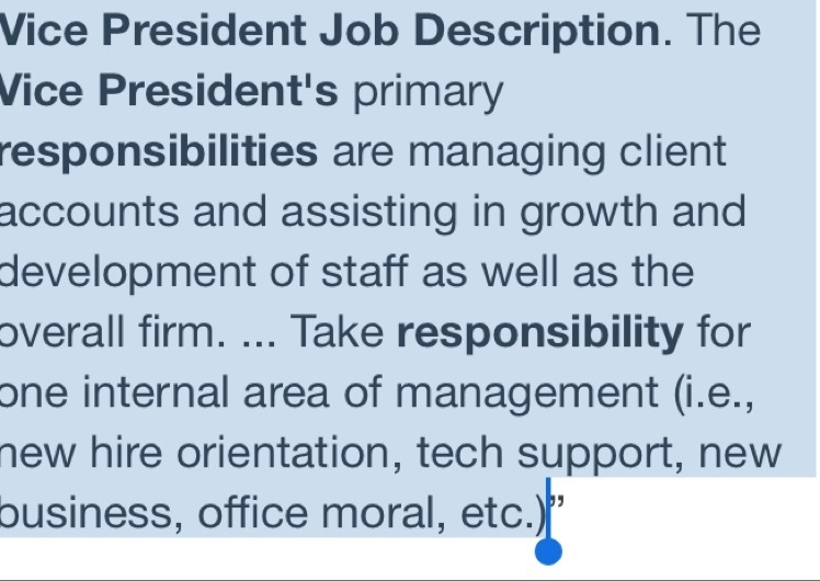 What is a vice president job description-example-1