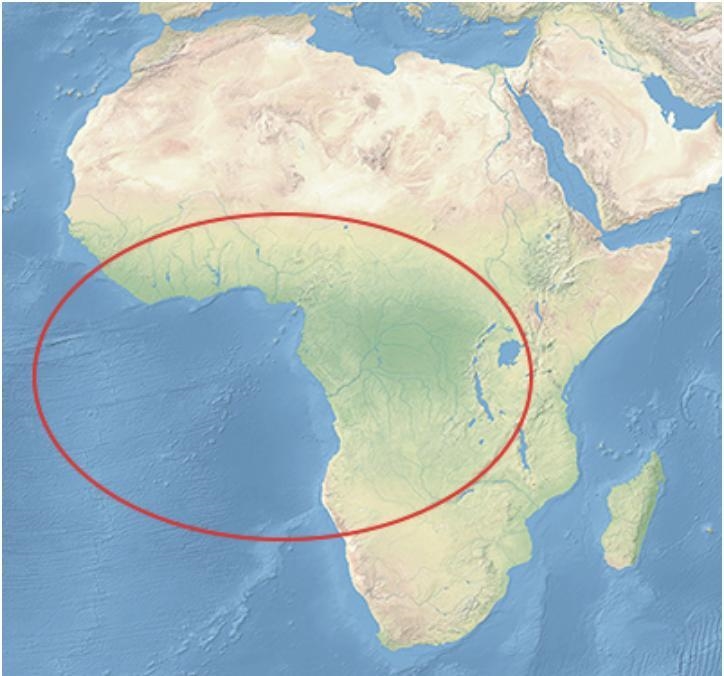 Which of the following cultures spread through the circled area on the map during-example-1