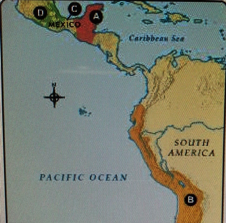 Which letter identifies the location of the Olmec civilization on the map A B C D-example-1