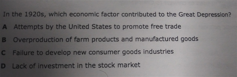 In the 1920s, one factor contributed to the Great Depression?-example-1