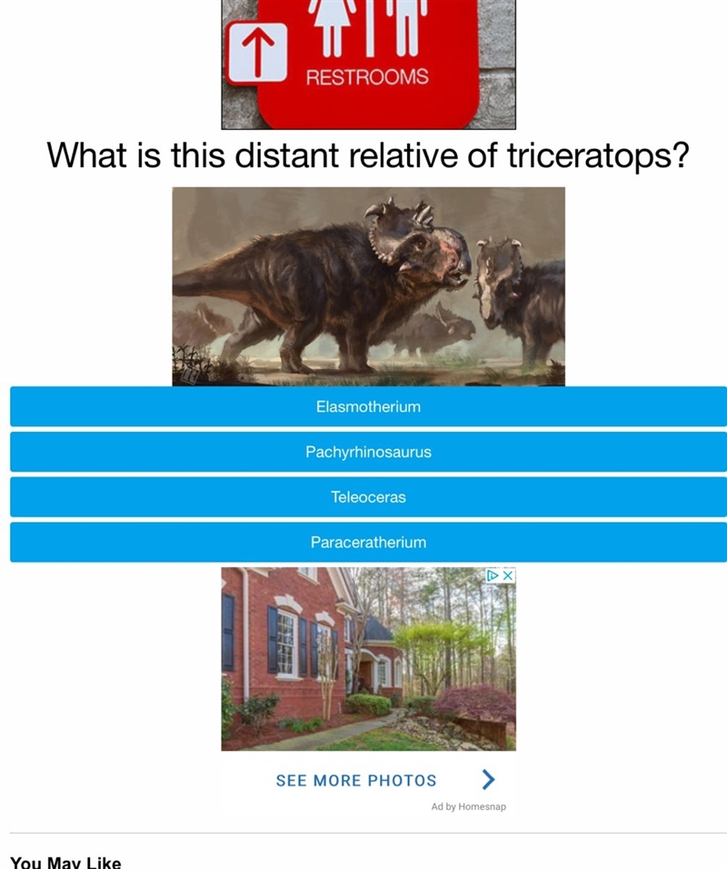 What is this distant relative of triceratops?-example-1