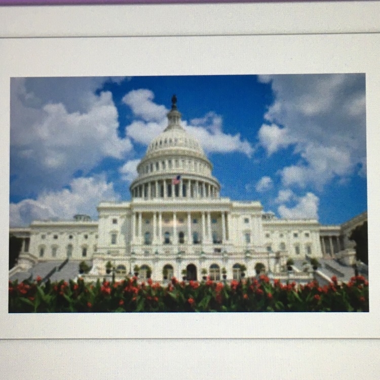 What purpose does this building serve? A) The Capitol building houses the U.S. Congress-example-1