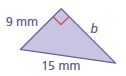 Find the missing length of the triangle.-example-1