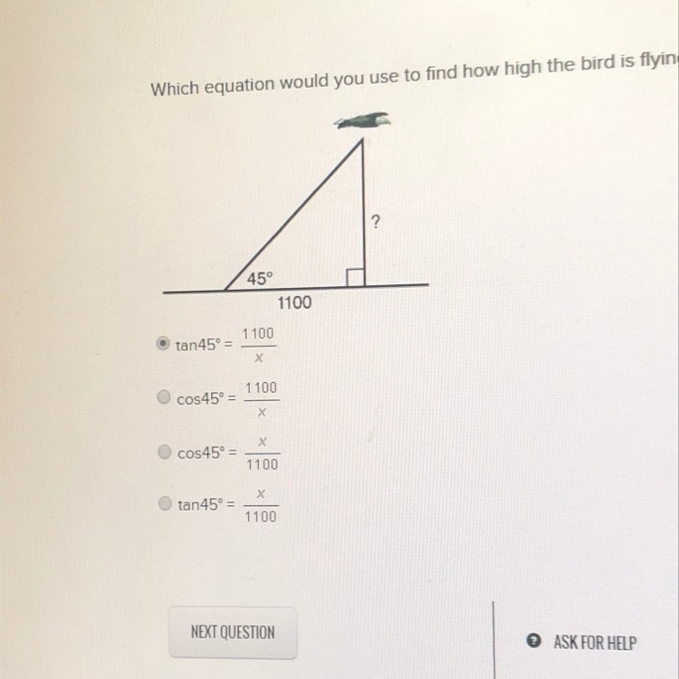 Which equation would you use to find how high the bird is flying-example-1