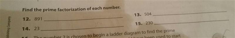 Find the prime factorization of each number (please) 891 23 504 230-example-1