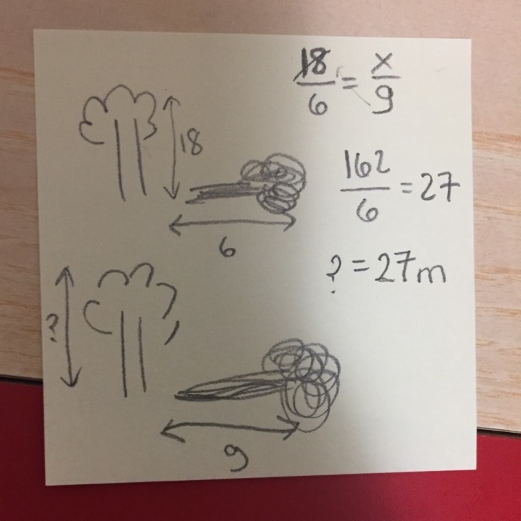 25 POINTS!!!! A tree that is 18 meters tall casts a shadow that is 6 meters long at-example-1