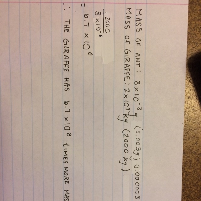 The average mass of an ant is approximately 3x10(-3, its an exponent) grams. the average-example-1