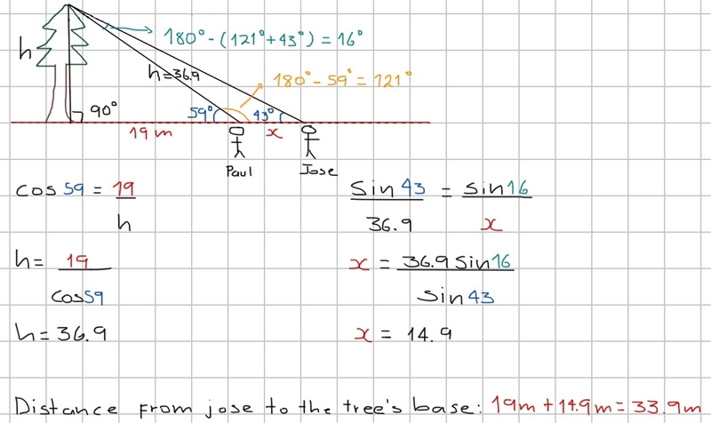 Paul and jose are trying to measure the height of a tree. paul is standing 19m from-example-1