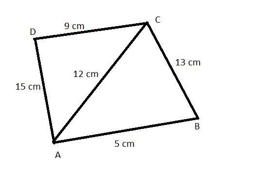 What is the area of quadrilateral ABCD, if AB = 5 cm, BC = 13 cm, CD = 9 cm, DA = 15 cm-example-1