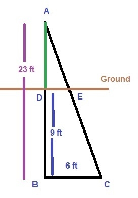 A tree's root is 9 feet below ground and spans a radius of 6 feet. If the total length-example-1