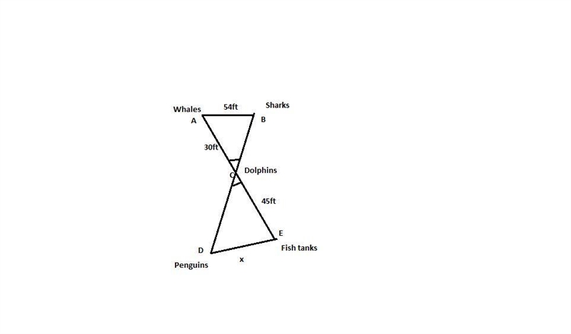 In the map below, the path from the whales to the sharks is parallel to the path from-example-1